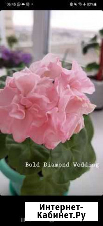 Bold Diamond Wedding Челябинск - изображение 1