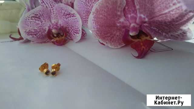 Сережки гвоздики Белгород - изображение 1