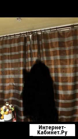 Шторы Мурманск - изображение 1