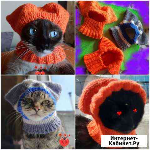 Вязаная одежда для чихуахуа и др. пород собак Петропавловск-Камчатский