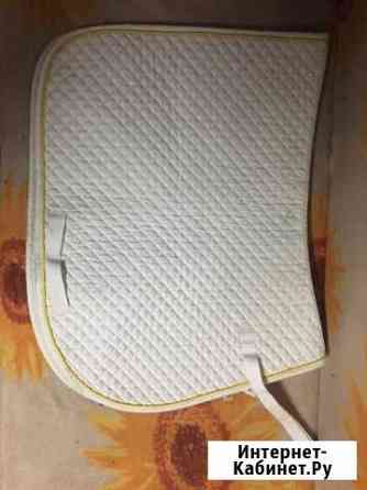 Конный спорт Курск