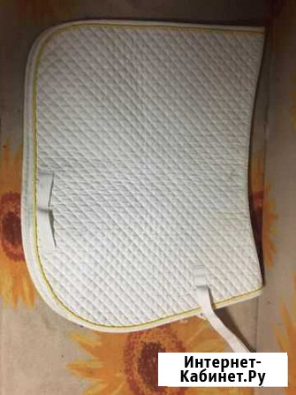 Конный спорт Курск - изображение 1