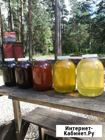 Гречичный мед, липа и мед разнотравье 3л Тверь - изображение 1