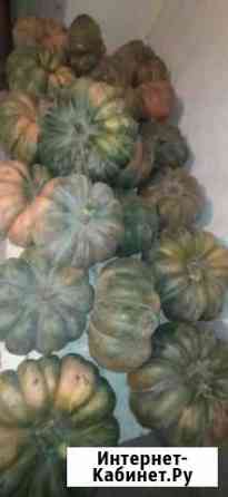 Тыква Симферополь