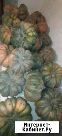 Тыква Симферополь - изображение 1