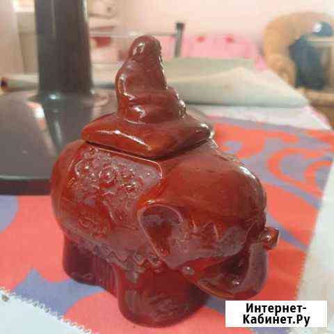 Слон Саранск