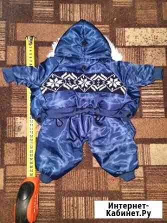 Одежда для маленьких собачек Калининград