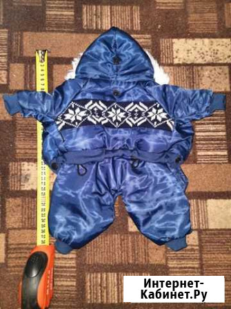 Одежда для маленьких собачек Калининград - изображение 1