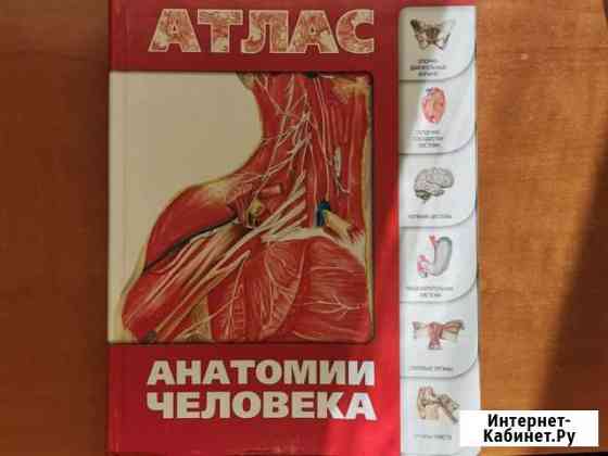 Атлас Анатомия человека Архангельск