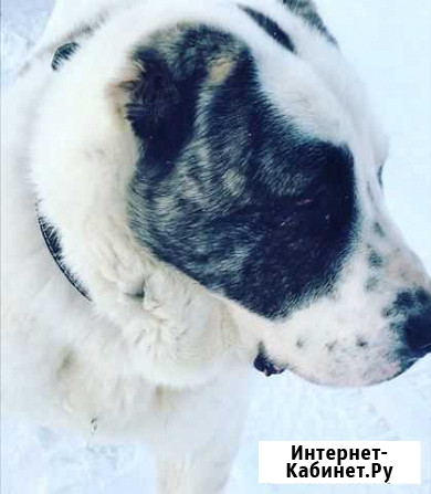 Вязка Барабинск - изображение 1