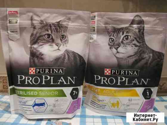 Корм для кошек proplan Рыбинск