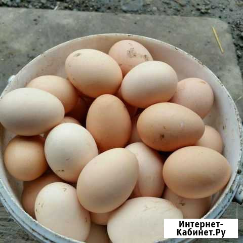 Яйца куриные, домашние Лиман - изображение 1