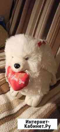 Мягкие игрушки - Кенгуру. Киска Брянск