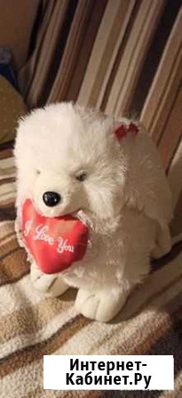 Мягкие игрушки - Кенгуру. Киска Брянск - изображение 1