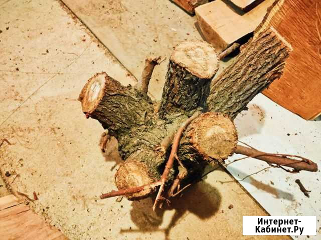 Коряги декоративные Аксай - изображение 1
