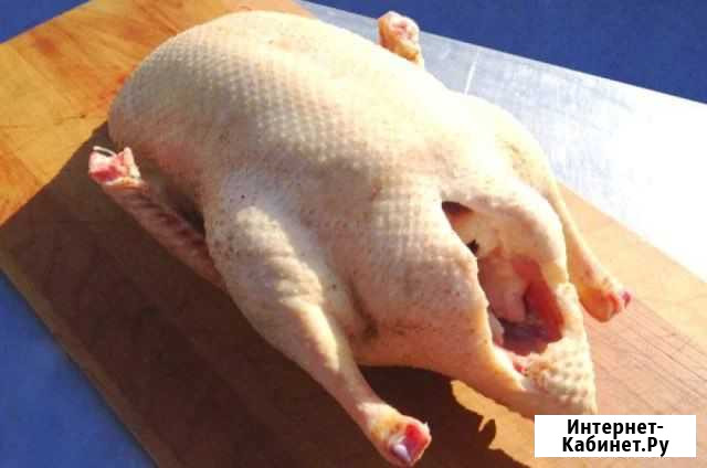 Продам мясо гуся Лиски - изображение 1