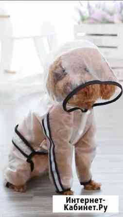 Одежда для собак, дождевик Севастополь