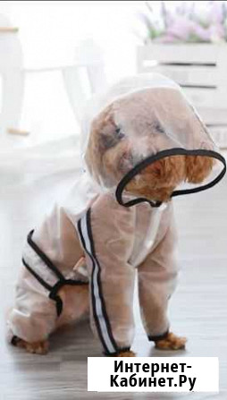 Одежда для собак, дождевик Севастополь - изображение 1