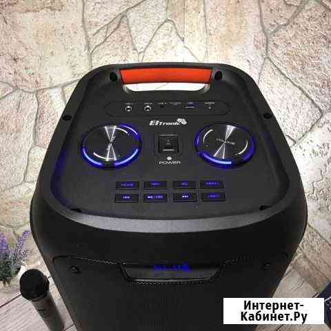 Портативная колонка с радио Eltronic 20-01 Красноярск