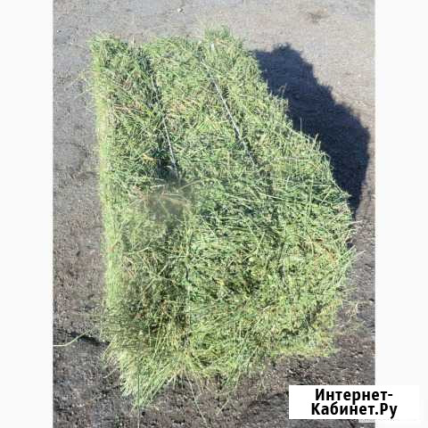 Сено луговое Волгодонск - изображение 1