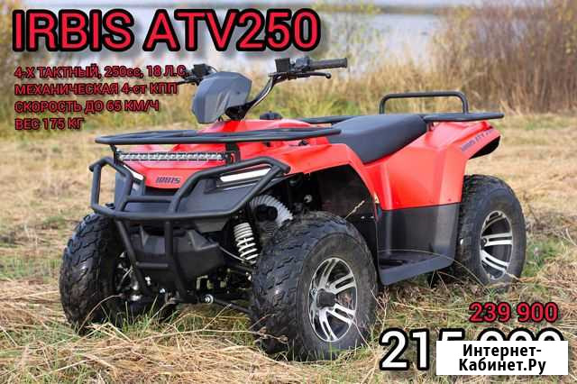 Квадроцикл irbis ATV 250U с псм Петропавловск-Камчатский - изображение 1