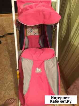 Санки Липецк