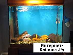 Аквариум Парковый - изображение 1