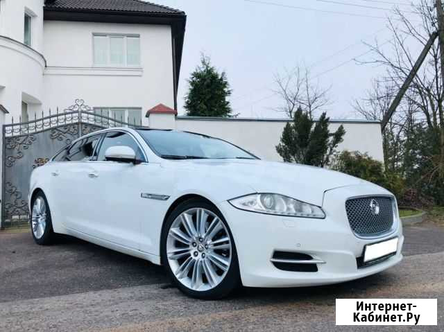 Прокат Флагмана марки jaguar XJ (X 351 ) premium Казань - изображение 1