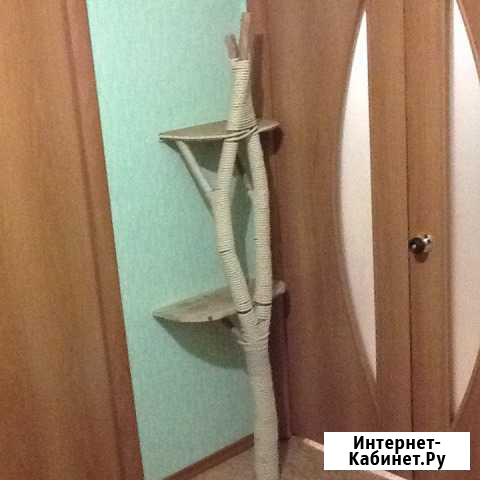 Когтеточка Альметьевск - изображение 1