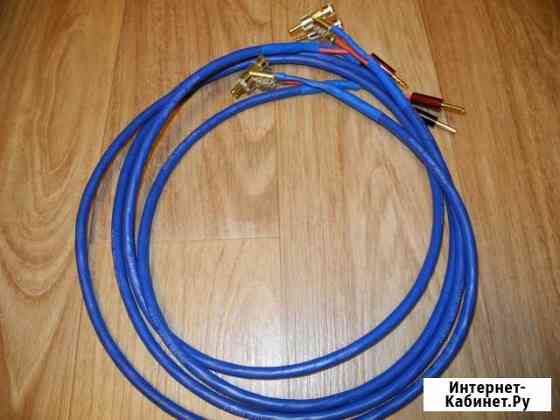 Purist Audio Design Vesta Speaker Cables 2x2m Нижний Новгород