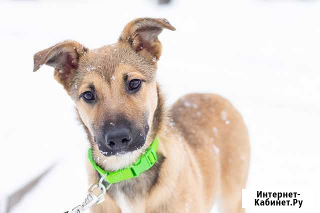 Хорошенькая девчушка Ванесса Пермь - изображение 1