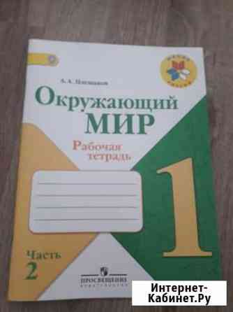 Рабочая тетрадь окружающий мир, Плешаков, 1 класс Нижнекамск