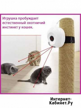 Лазерная игрушка для кошек в виде совы Новокузнецк - изображение 1