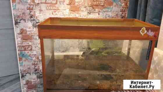 Аквариум Омск