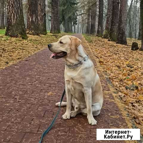 Вязка Огаревка - изображение 1