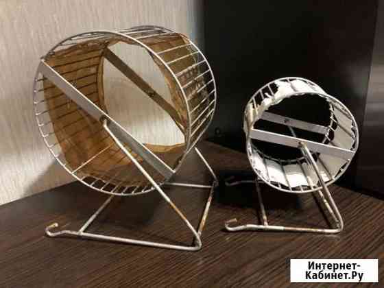 Колесо для хомячков Волгоград