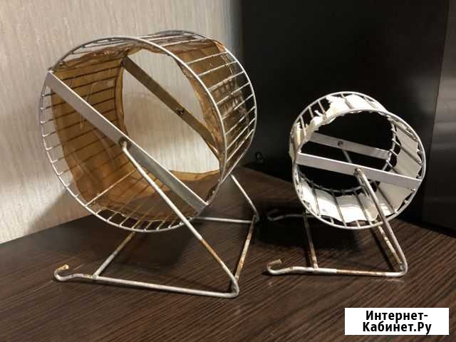 Колесо для хомячков Волгоград - изображение 1