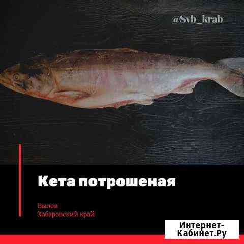 Кета псг Свободный