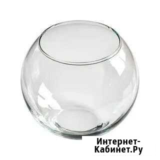 Аквариум Первоуральск - изображение 1