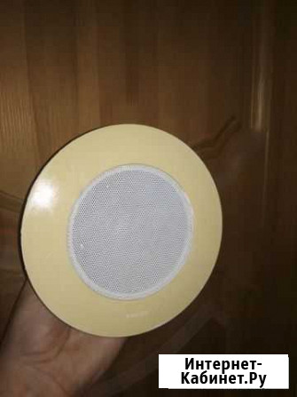 Громкоговоритель Саратов - изображение 1