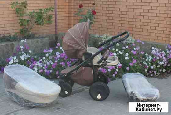 Коляска tutis zippy 3 в 1 Тамбов