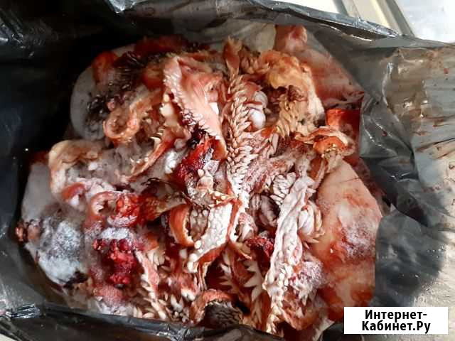 Рубец обрези мясо кости корм для собак Хомутово - изображение 1