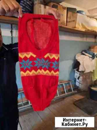 Теплый костюмчик для собаки Красноярск