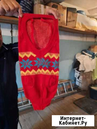 Теплый костюмчик для собаки Красноярск - изображение 1