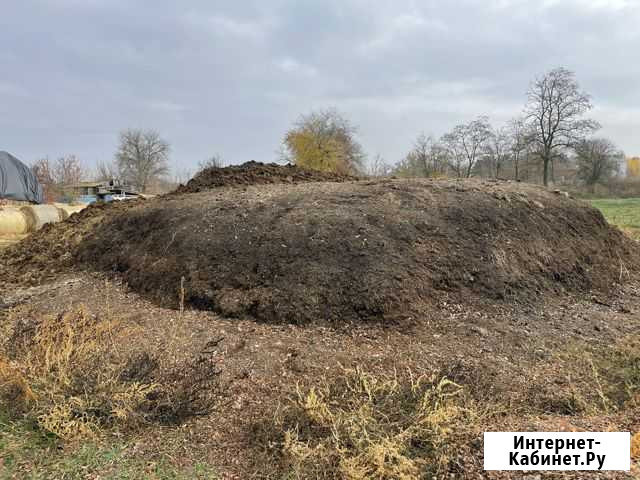 Навоз перегной крс самовывоз Развильное - изображение 1
