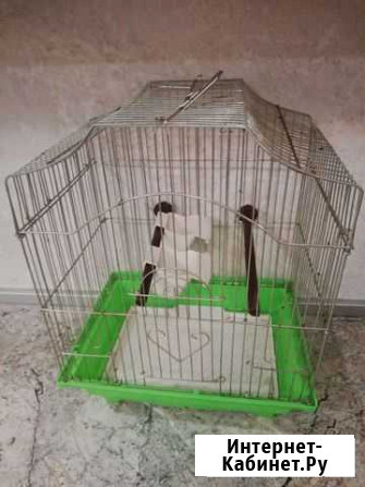 Клетка Саранск - изображение 1