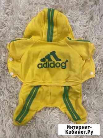 Комбинезон для собак (xs, m) Мурманск