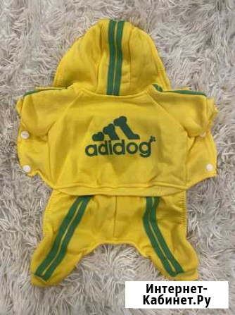 Комбинезон для собак (xs, m) Мурманск - изображение 1