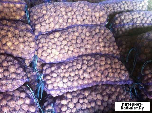 Продам мелкий картофель на корм животным Перемышль - изображение 1