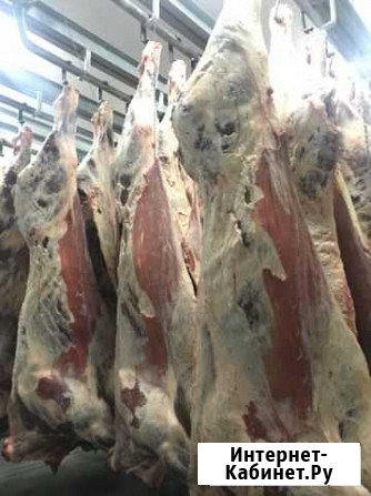 Продам мясо говядина Большая Атня - изображение 1